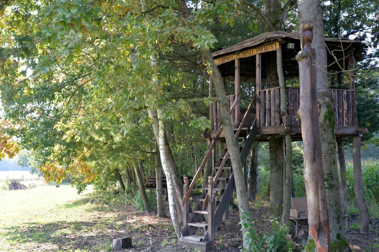 Вилла Old Oak House With Pool Marusevec Экстерьер фото