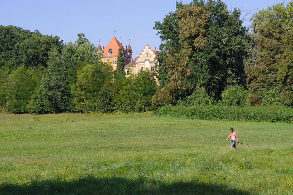 Вилла Old Oak House With Pool Marusevec Экстерьер фото