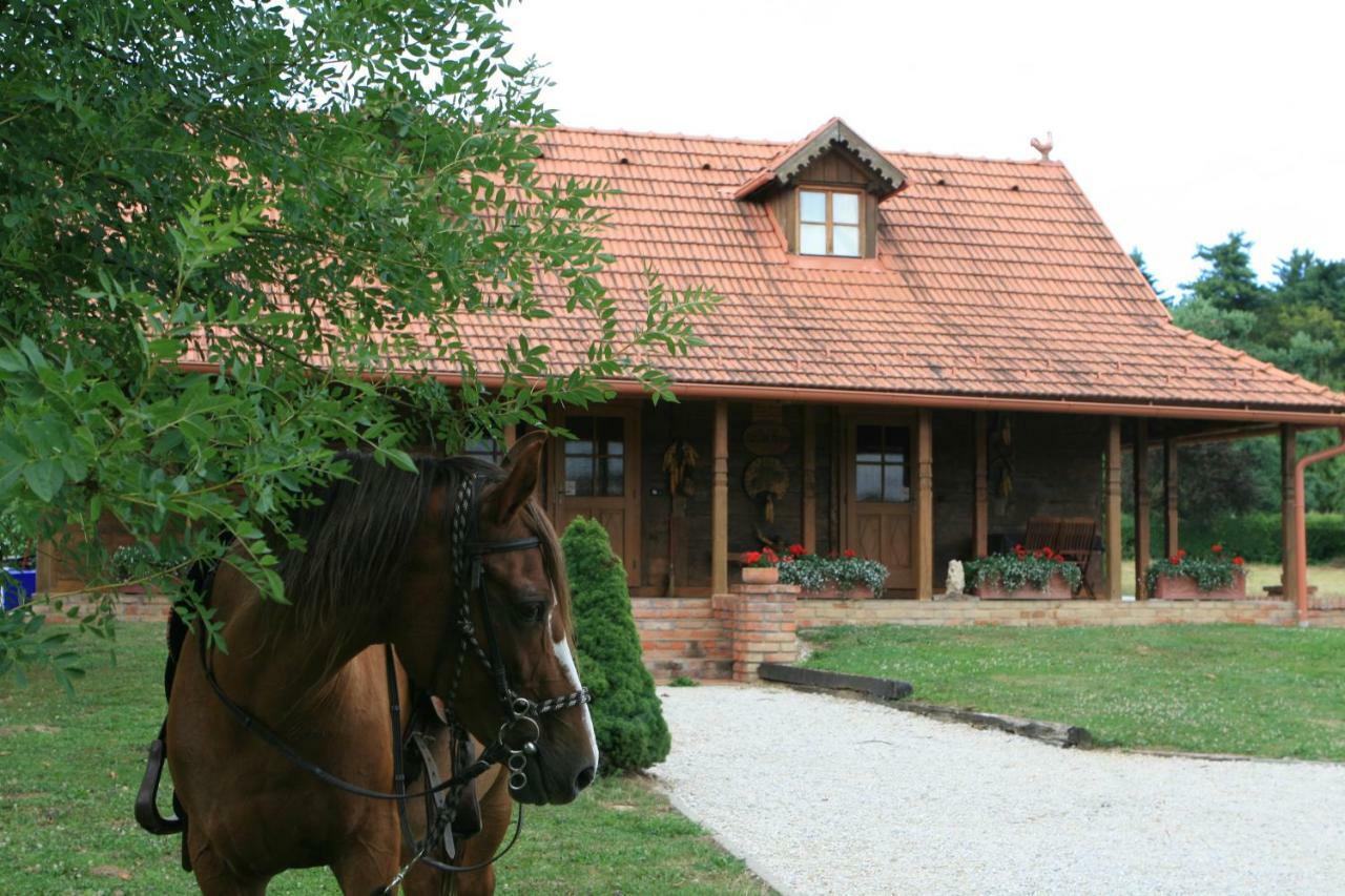 Вилла Old Oak House With Pool Marusevec Экстерьер фото